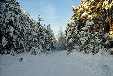 9月新游一览：《最后生还者Part1》《喷射战士3》